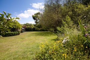 Garden- click for photo gallery